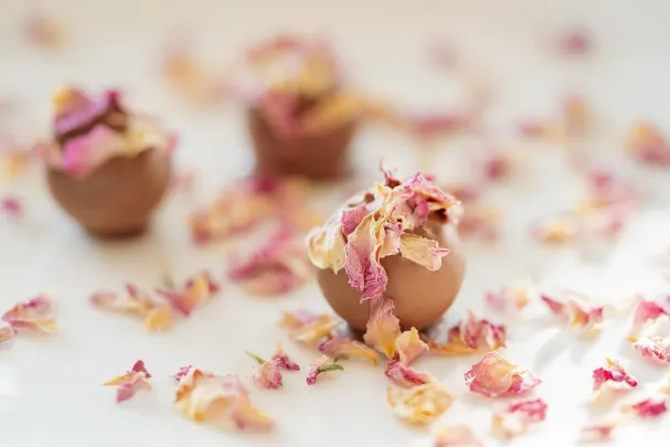 كازينو بارادايس وين تطبيق أندرويد/آي أو إس